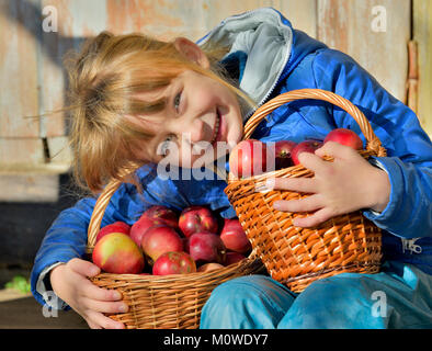 Kind pflücken Äpfel auf einem Bauernhof im Herbst. Kleine Mädchen spielen in apple tree Obstgarten. Kids Pick Obst in einem Korb. Spaß im Freien für Kinder. Gesunde nu Stockfoto