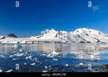 Küste mit Steinen und kalten Wasser des antarktischen Meer Lagune mit driften Eisberge und Schnee Berge im Hintergrund, Half Moon Island, Ant Stockfoto