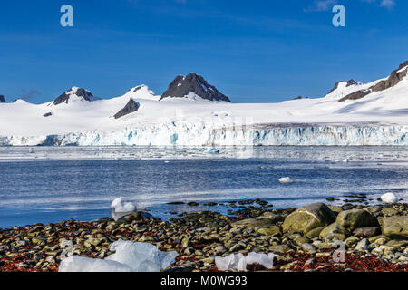 Küste mit Steinen und kalten Wasser des antarktischen Meer Lagune mit driften Eisberge und Schnee Berge im Hintergrund, Half Moon Island, Ant Stockfoto