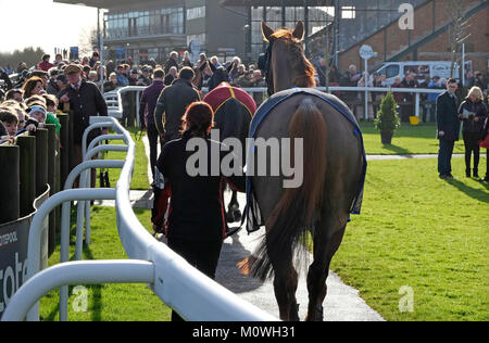 Weibliche handler walking Race Horse rund um die Parade Ring in Fakenham Rennen, Norfolk, England Stockfoto