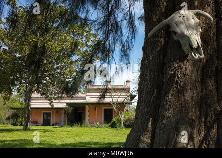 Estancia in der argentinischen Pampa. Pardo, Argentinien. Stockfoto