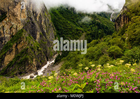 Schöne Trek in Uttarakhand namens Tal der Blumen im Himalaya, Nanda Devi Biosphäre National Park, tolle Landschaft, Berge, Hügel, nebelig, Stockfoto