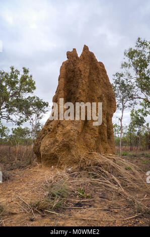 Termitenhügel im Busch entlang der Straßen im nördlichen Gebiet Stockfoto