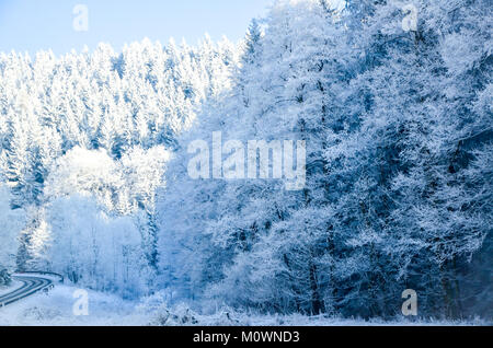 Verschneite Straße und Wald im Winter. Sonnenlicht Szene verwendbar für Verkehrsinformationen mit Freiraum für Text Stockfoto