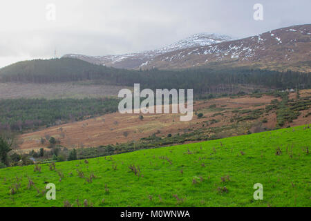 Ein Blick auf eine der vielen schneebedeckten Hügel und Täler der Mourne Mountains im County Down in Nordirland auf ein stumpfes midwinter Nachmittag Stockfoto