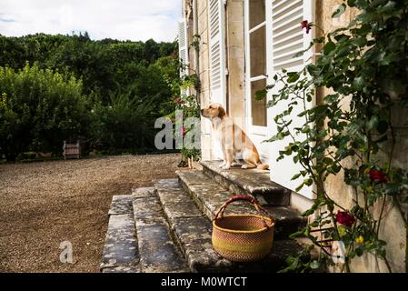 Frankreich, Cote d'Or, Savigny-les-Beaune, Climats, Terroirs von Burgund auf das Wort Weltkulturerbe der UNESCO, Côte de Beaune und der Hautes Côtes de Beaune, Domain Chandon de Briailles Stockfoto
