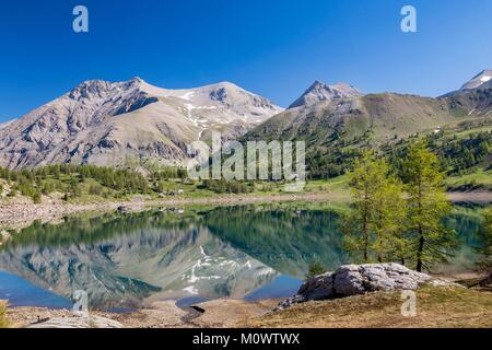 Frankreich, Alpes de Haute Provence, Nationalpark Mercantour, Haut Verdon, den See von Allos (2226 m), die Zuflucht der See von Allos dominiert durch den Berg Colombier (3051 m) Stockfoto