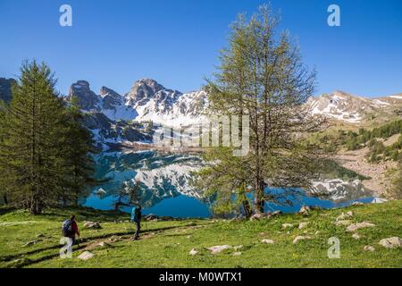 Frankreich, Alpes de Haute Provence, Nationalpark Mercantour, Haut Verdon, den See von Allos (2226 m), im Hintergrund der Tour du Lac Stockfoto