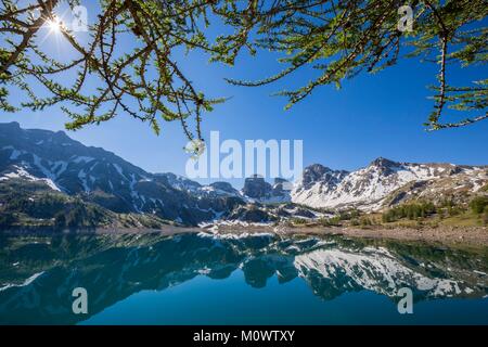 Frankreich, Alpes de Haute Provence, Nationalpark Mercantour, Haut Verdon, den See von Allos (2226 m), im Hintergrund der Tour du Lac Stockfoto