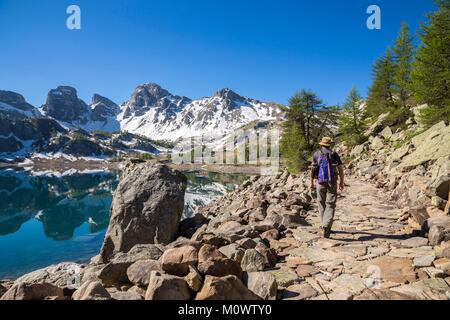 Frankreich, Alpes de Haute Provence, Nationalpark Mercantour, Haut Verdon, den See von Allos (2226 m), im Hintergrund der Tour du Lac Stockfoto