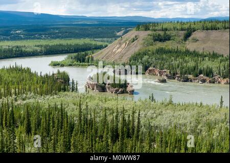 Kanada, Yukon Territory, Carmacks, Yukon River Stockfoto