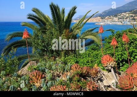 Frankreich, Alpes Maritimes, Menton, Garten Maria Serena Stockfoto