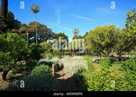 Frankreich, Alpes-Maritimes, Menton, Garten des Palais Carnoles Stockfoto