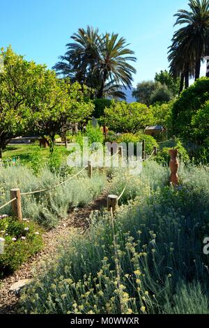 Frankreich, Alpes-Maritimes, Menton, Garten des Palais Carnoles Stockfoto