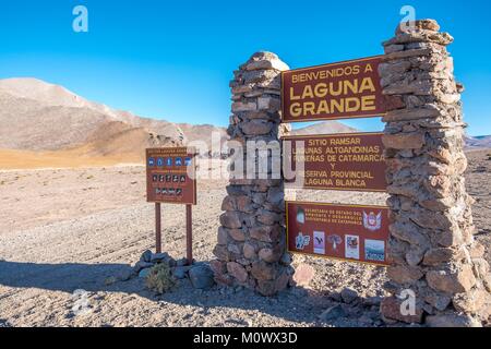 Argentinische, Provinz Catamarca, Puna Wüste, El Penon, Laguna Grande auf der Strecke nach volcan Galan Stockfoto