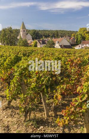 Frankreich, Cote d'Or Brochon, kulturellen Landschaft des Burgund Klimas als Weltkulturerbe von der UNESCO, Cote de Nuits Weinberg Stockfoto