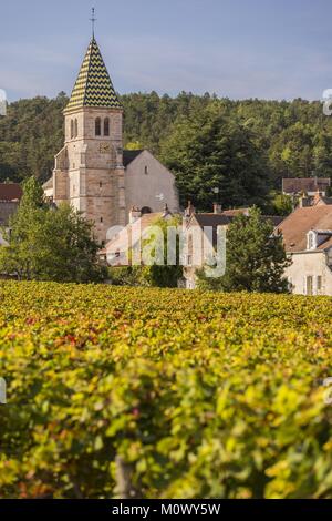Frankreich, Cote d'Or Brochon, kulturellen Landschaft des Burgund Klimas als Weltkulturerbe von der UNESCO, Cote de Nuits Weinberg Stockfoto