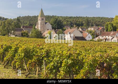 Frankreich, Cote d'Or Brochon, kulturellen Landschaft des Burgund Klimas als Weltkulturerbe von der UNESCO, Cote de Nuits Weinberg Stockfoto