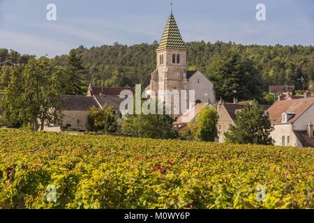 Frankreich, Cote d'Or Brochon, kulturellen Landschaft des Burgund Klimas als Weltkulturerbe von der UNESCO, Cote de Nuits Weinberg Stockfoto