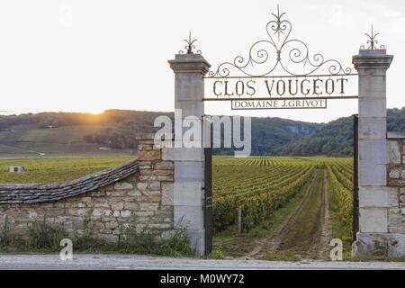 Frankreich, Cote d'Or, Vougeot, kulturellen Landschaft des Burgund Klimas als Weltkulturerbe von der UNESCO, Cote de Nuits, Weinberge in Clos Vougeot, Tor in der Dämmerung (Burgund) Stockfoto