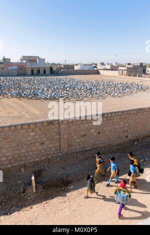 Indien, Rajasthan, Wüste Thar, Kichan, Dorf der Marwari Jain communuty, haben Fütterung jeden Winter seit 1970 Demoiselle Kraniche (Grus vi. Stockfoto