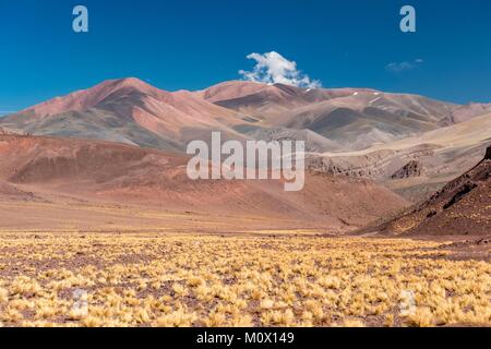 Argentinien, in der Provinz La Rioja, Laguna Brava Provinz finden Stockfoto