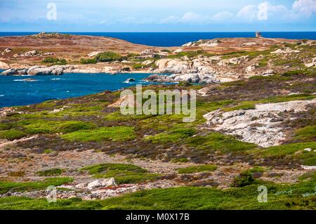 Frankreich, Haute Corse, Algajola, Blick auf die Küste von Trinighellu, der kleine Zug von Korsika, zwischen Calvi und Ile Rousse Stockfoto