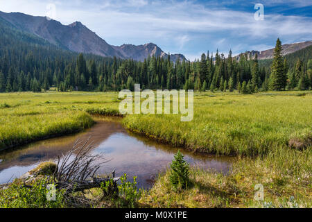 Brewer Creek Valley in den Purcell Mountains, Kootenay Rockies, in der Nähe von Invermere, East Kootenay Region, British Columbia, Kanada Stockfoto