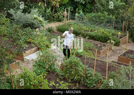 Fürstentum Monaco, Monaco, Jessica Sbaraglia Gründer von Terre de Monaco in ihrer Küche Garten am Fuße des Odeon tower arbeiten. Im Jahr 2016 startete von Jessica, Ehemaliger Schweizer Modell, Terre de Monaco hat sich zum weltweit größten privaten Farm für die städtische Landwirtschaft. Stockfoto