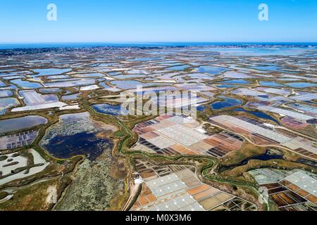 Frankreich, Loire Atlantique, Guerande, Salzwiesen (Luftbild) Stockfoto