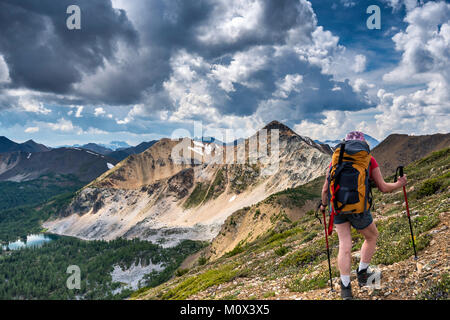 Im mittleren Alter weibliche Wanderer auf namenlose Gipfel über Brauer Becken, südlich von East Ridge des Mount Brauer, Purcell Mountains, British Columbia, Kanada Stockfoto
