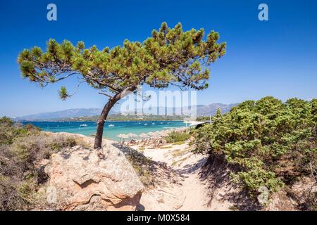 Frankreich, Süd Korsika, Zonza, Strand von Punta di Benettu Stockfoto