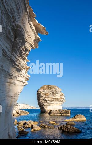 Frankreich, Süd Korsika, Bonifacio, der Insel der Grain de Sable am Fuß der Klippen der Altstadt, im Hintergrund das Kap Pertusato und Sardinien Stockfoto