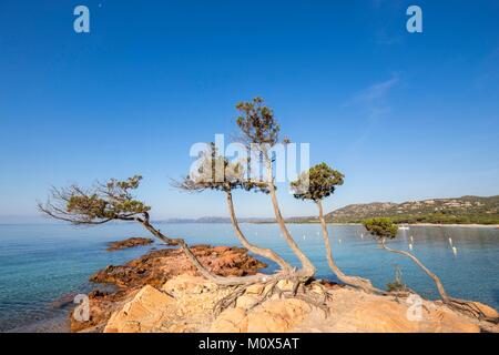 Frankreich, Korsika, Porto Vecchio, Strand von Palombaggia Stockfoto