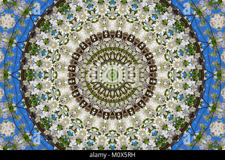 Zusammenfassung Hintergrund von floralen Muster von einem Kaleidoskop. weiß blau grün Hintergrund fractal Mandala. Abstrakte kaleidoskopische Arabesque. Geometrische oder Stockfoto