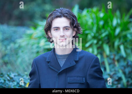 Roma, Italien. 24 Jan, 2018. Amerikanischer Schauspieler Timothée Chalamet Photocall in Rom der Film "Chiamami col tuo Nome" (Originaltitel: "Rufen Sie mich an, indem Sie Name') Quelle: Matteo Nardone/Pacific Press/Alamy leben Nachrichten Stockfoto