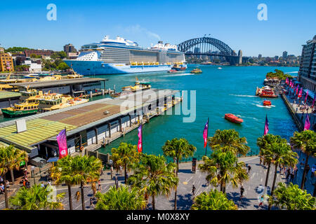 Die Royal Caribbean Ovation der Meere Kreuzfahrt Schiff vertäut an Overseas Passenger Terminal, Circular Quay, Sydney, Australien, an einem sonnigen Tag. Stockfoto