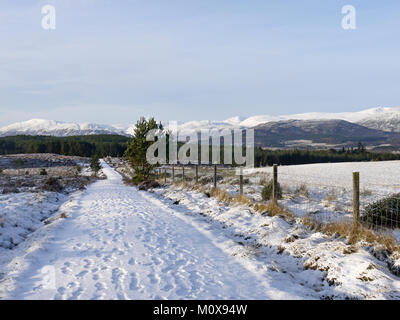 Die badenoch Weg, ein Wanderweg von Aviemore auf Insh Sümpfe in den Highlands von Schottland, Inverness-shire. Auf der Suche nach Süden in Richtung der Monadhliath. Stockfoto