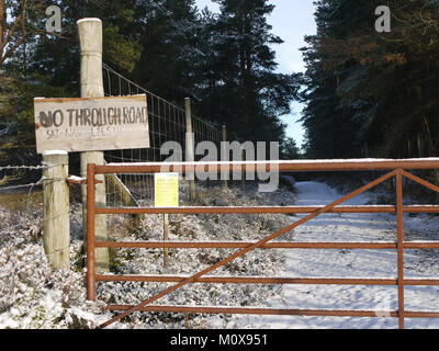 Die badenoch Weg, ein Wanderweg von Aviemore auf Insh Sümpfe in den Highlands von Schottland, Inverness-shire. Nein Geeignet für Fahrzeug trotz Sat Nav Stockfoto