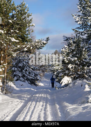 Die badenoch Weg, ein Wanderweg von Aviemore auf Insh Sümpfe in den Highlands von Schottland, Inverness-shire. Cross country Skier in Inveruglas Stockfoto