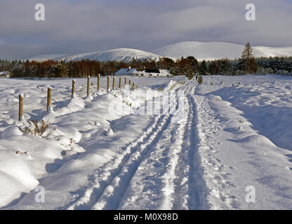 Die badenoch Weg, ein Wanderweg von Aviemore auf Insh Sümpfe in den Highlands von Schottland, Inverness-shire. Die Bahn, wie es in Inveruglas. Stockfoto