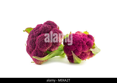 Lila Blumenkohl isoliert auf dem weißen Hintergrund Stockfoto