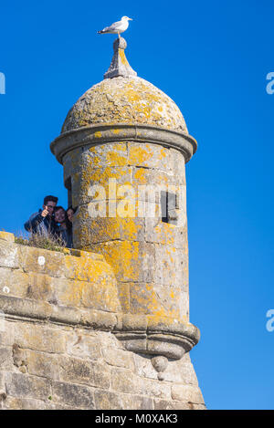 Santiago da Barra Festung, im Hafen von Viana Do Castelo entfernt in Norte Region von Portugal Stockfoto