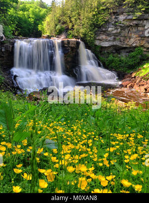 Iconic Blackwater fällt in West Virginia Stockfoto