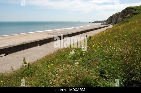 Blick nach Süden entlang des Strandes und der Promenade Richtung Seaham Harbour mit Klippen, Strand und wilden Blumen im Blick Stockfoto