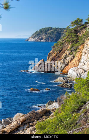 Nettes Detail aus Costa Brava Küsten in Spanien, La Fosca Stockfoto