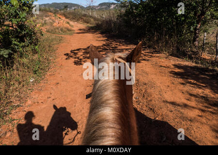 Reiten durch die Betriebe in Vinales, Kuba Stockfoto