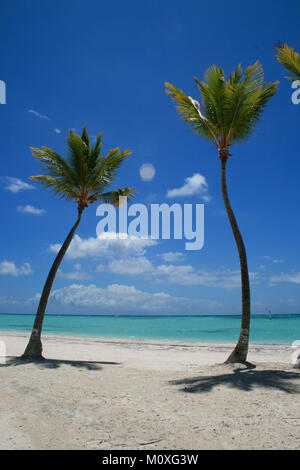 Zwei Palmen am Strand in Punta Cana Punta Cana Stockfoto