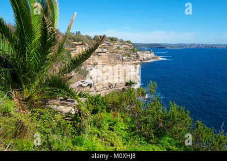 Hohe Klippen von South Head finden, Ansicht von Gap Bluff in Richtung North Head und Manly an einem sonnigen Tag, Watsons Bay, Sydney, Australien. Stockfoto