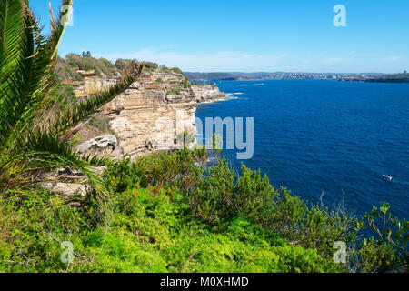 Hohe Klippen von South Head finden, Ansicht von Gap Bluff in Richtung North Head und Manly an einem sonnigen Tag, Watsons Bay, Sydney, Australien. Stockfoto